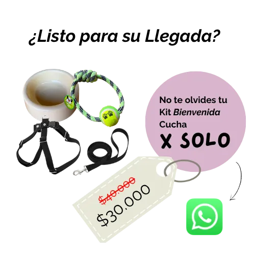A la Cucha