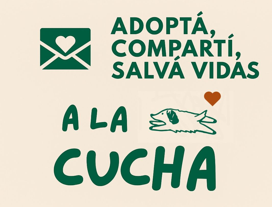 Sobre nosotros