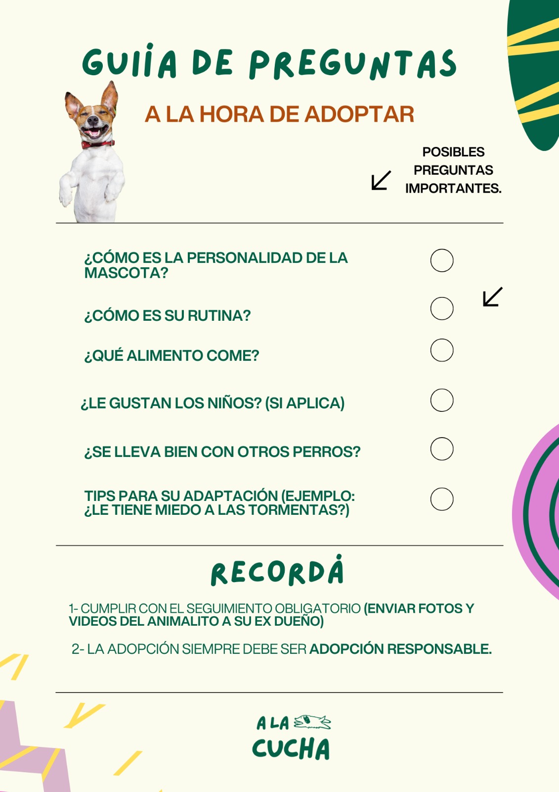 Guía de preguntas para adoptar