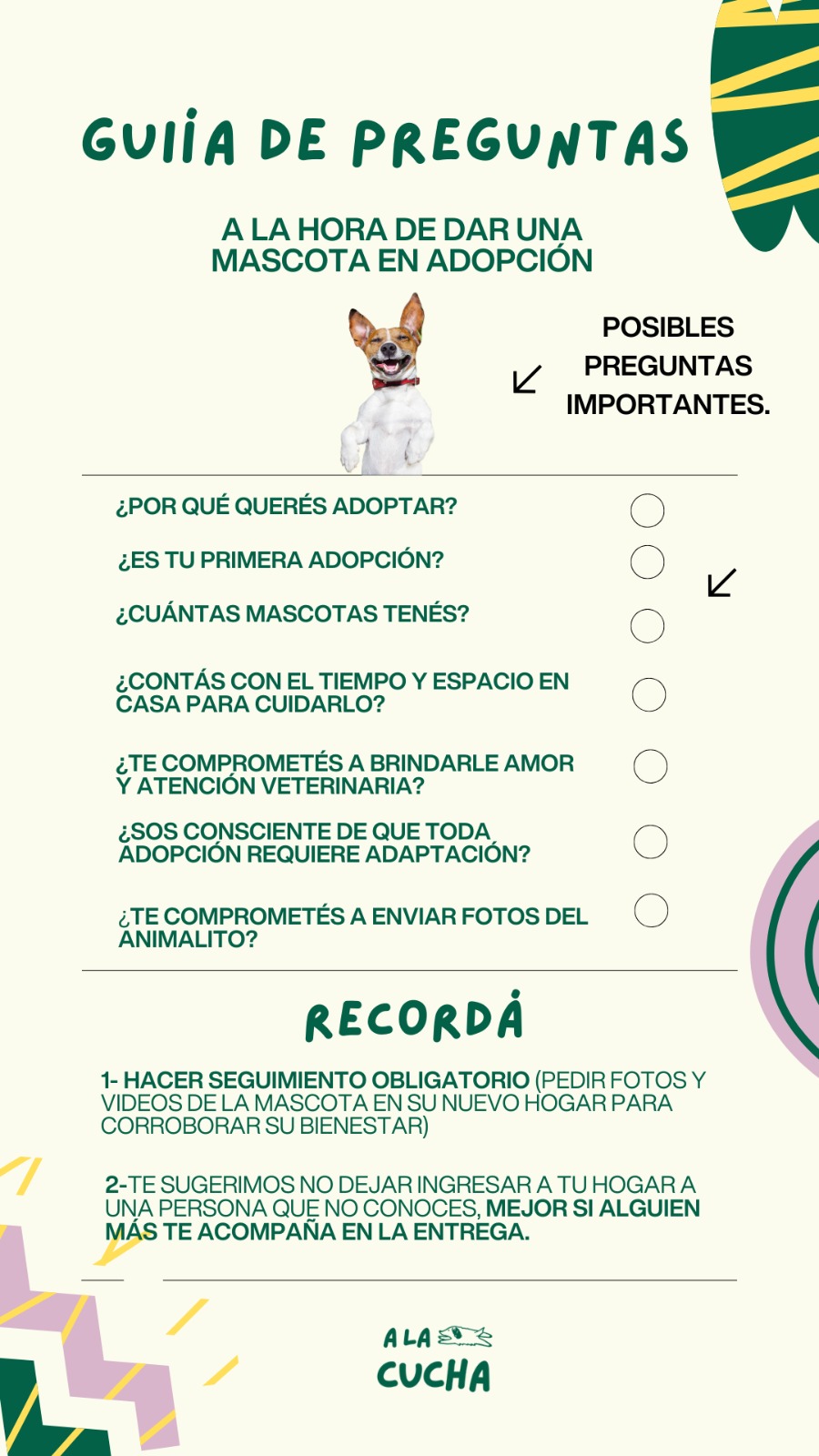 Guía de preguntas para dar una mascota en adopción