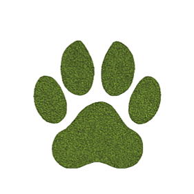 Ingresar icon